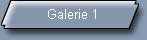 Galerie 1