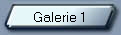 Galerie 1