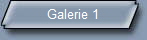 Galerie 1