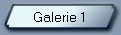 Galerie 1